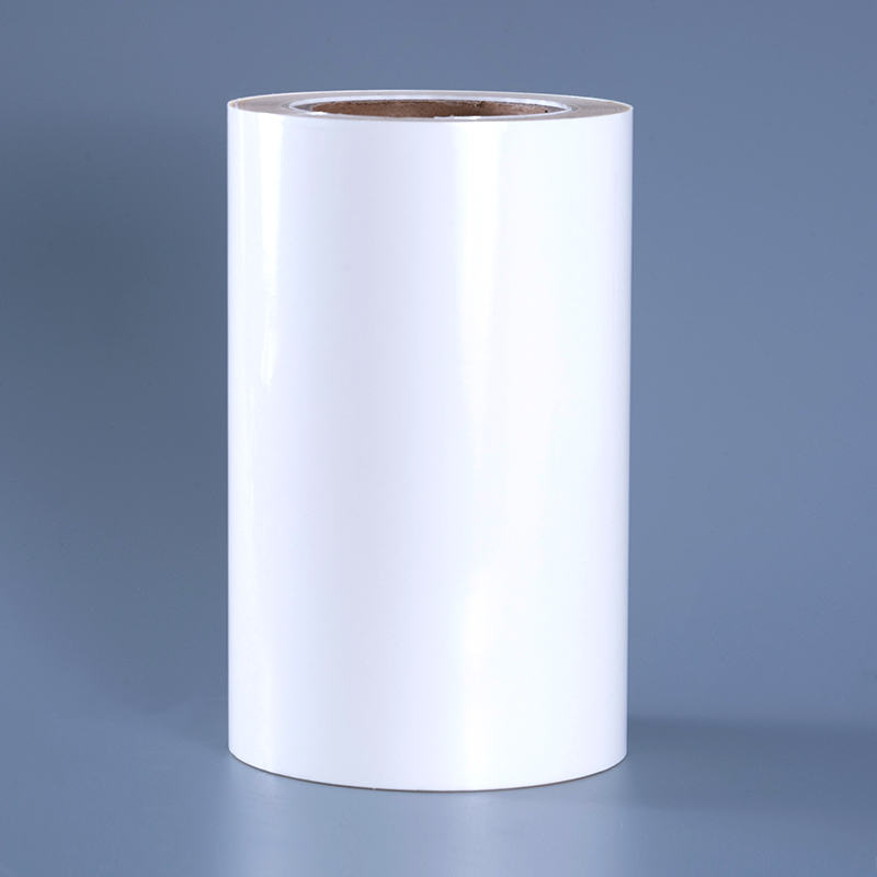 Película transparente del ANIMAL DOMÉSTICO 25mic con las etiquetas adhesivas removibles del poliéster transparente