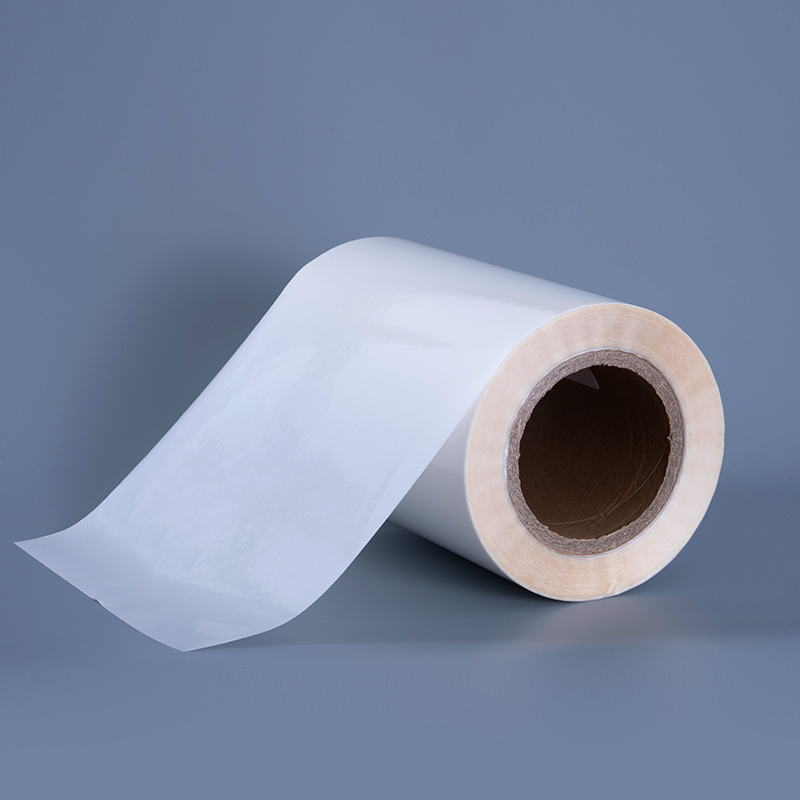 Película transparente del ANIMAL DOMÉSTICO 25mic con las etiquetas adhesivas removibles del poliéster transparente