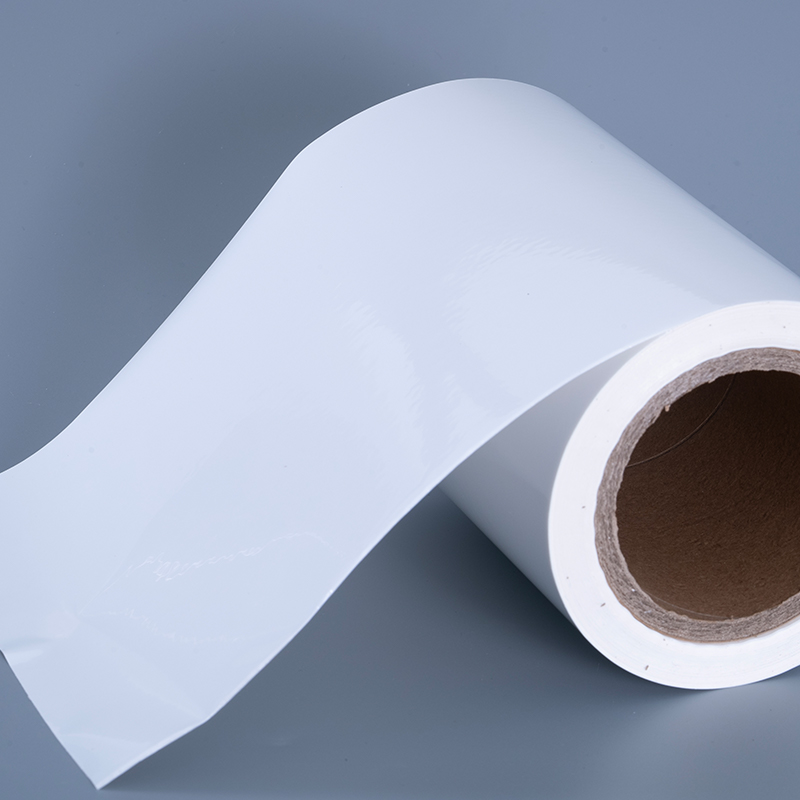 Materiales de etiquetas de película de vinilo PET brillante de 25mic con rollo gigante de adhesivo acrílico para impresión de inyección de tinta